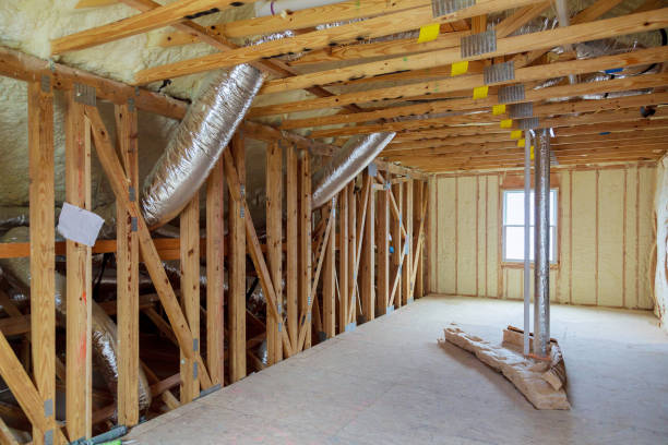 Best Eco-Friendly Insulation in Lyons, GA