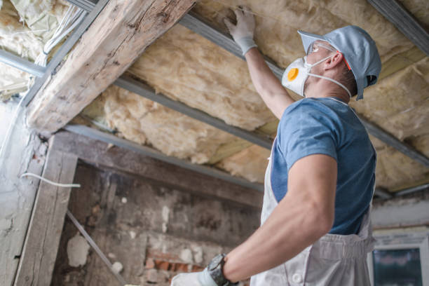 Best Spray Foam Insulation in Lyons, GA