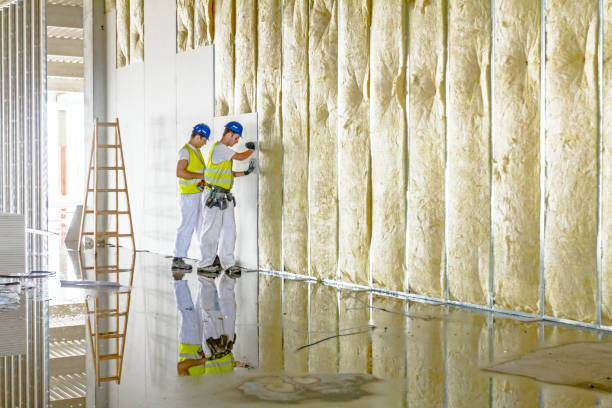 Best Spray Foam Insulation in Lyons, GA